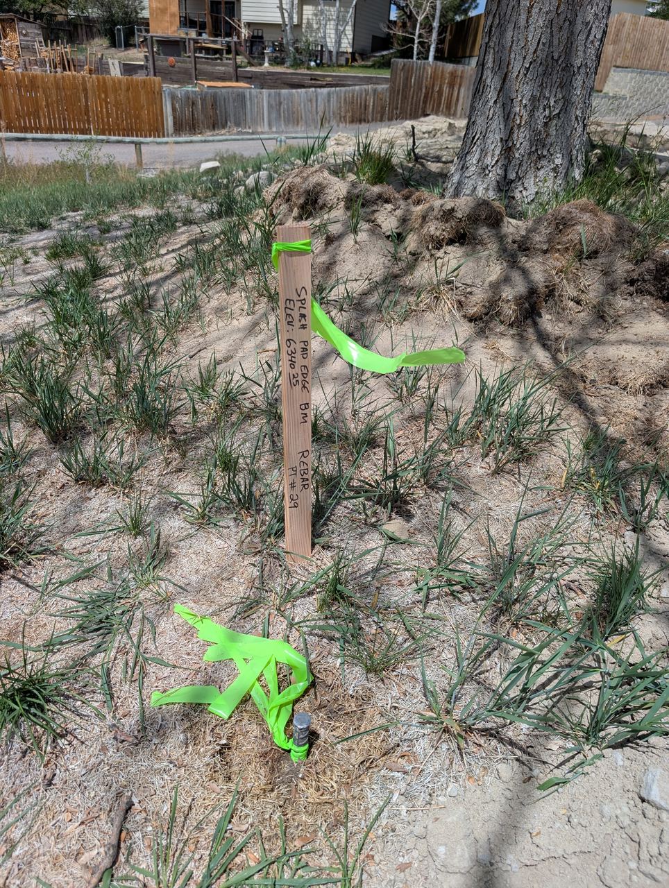 Hub and tack survey stake with elevation callout